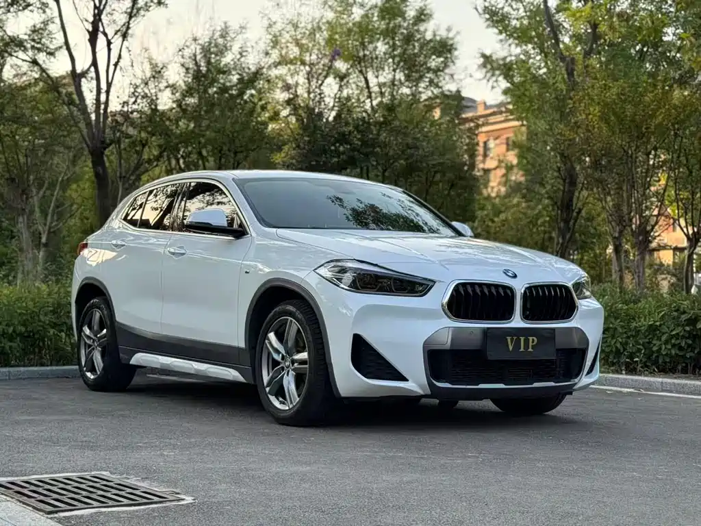BMW X2 — миниатюра 3