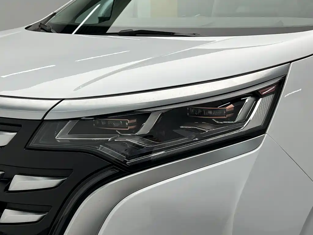 Denza Denza D9 — миниатюра 10