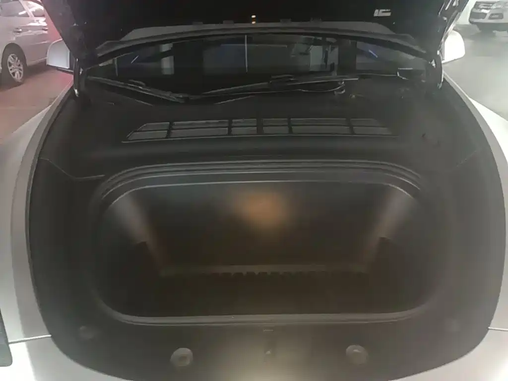 Tesla Model Y — миниатюра 20