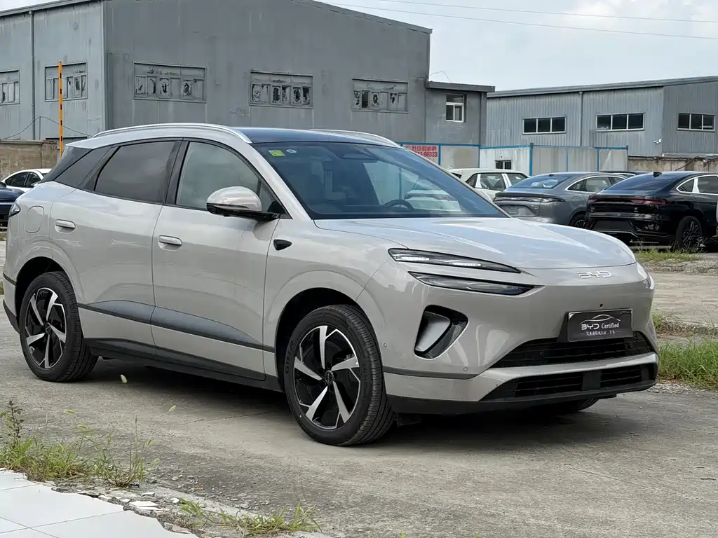BYD Haisi 06 — миниатюра 3