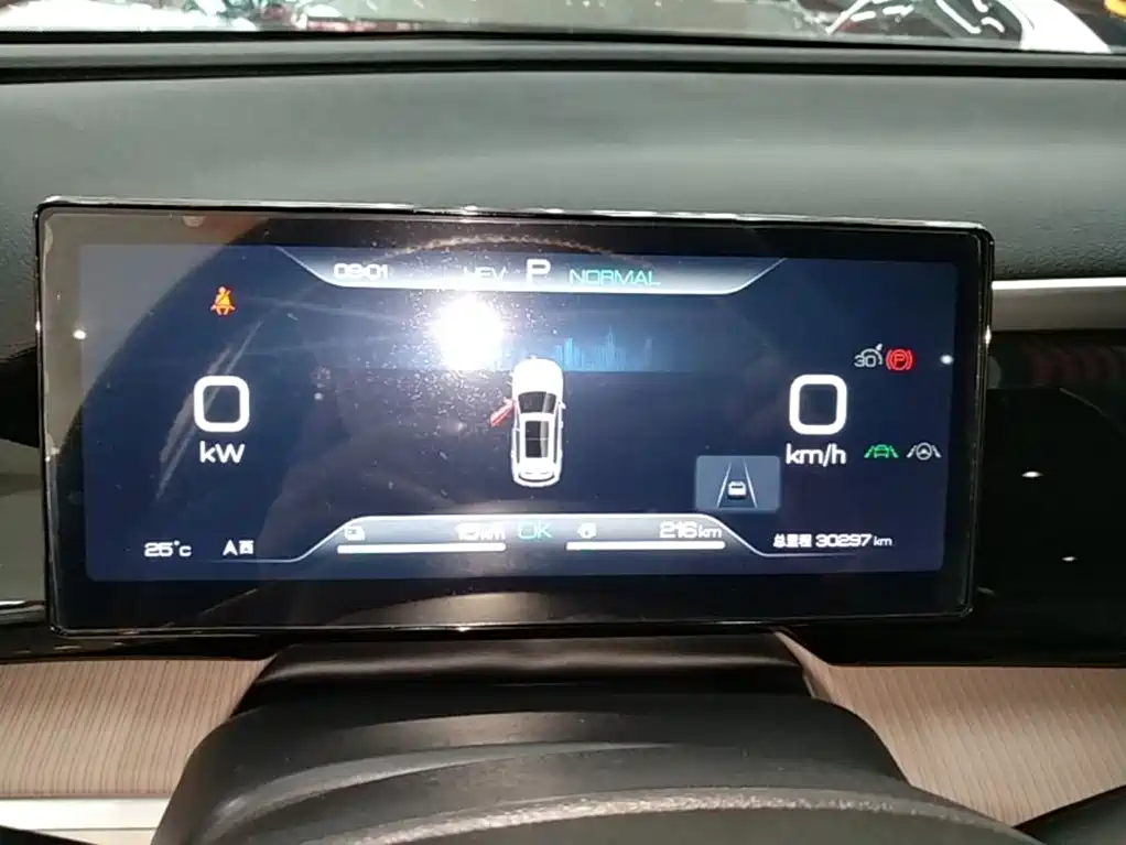 BYD Pro New Energy — миниатюра 12