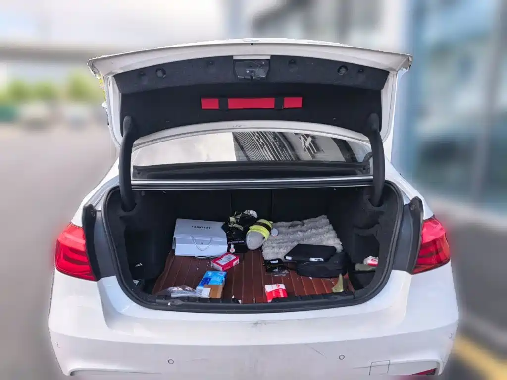 BMW 3 Series — миниатюра 10