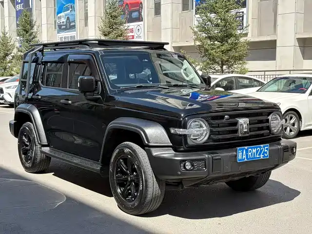 2024 TANK 300