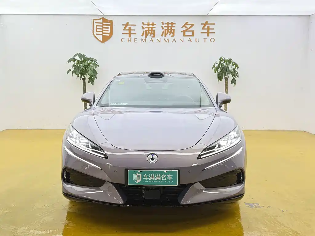 Denza Denza Z9GT — миниатюра 2