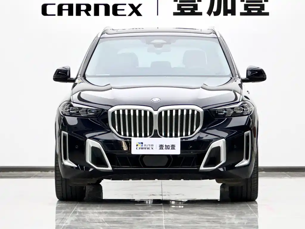 BMW X5 — миниатюра 2
