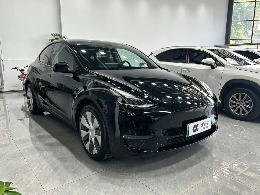Tesla Model Y — миниатюра 3