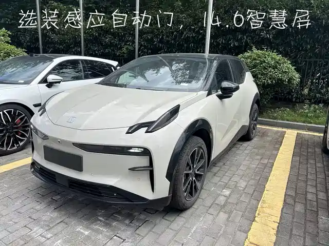 2024 Zeekr X