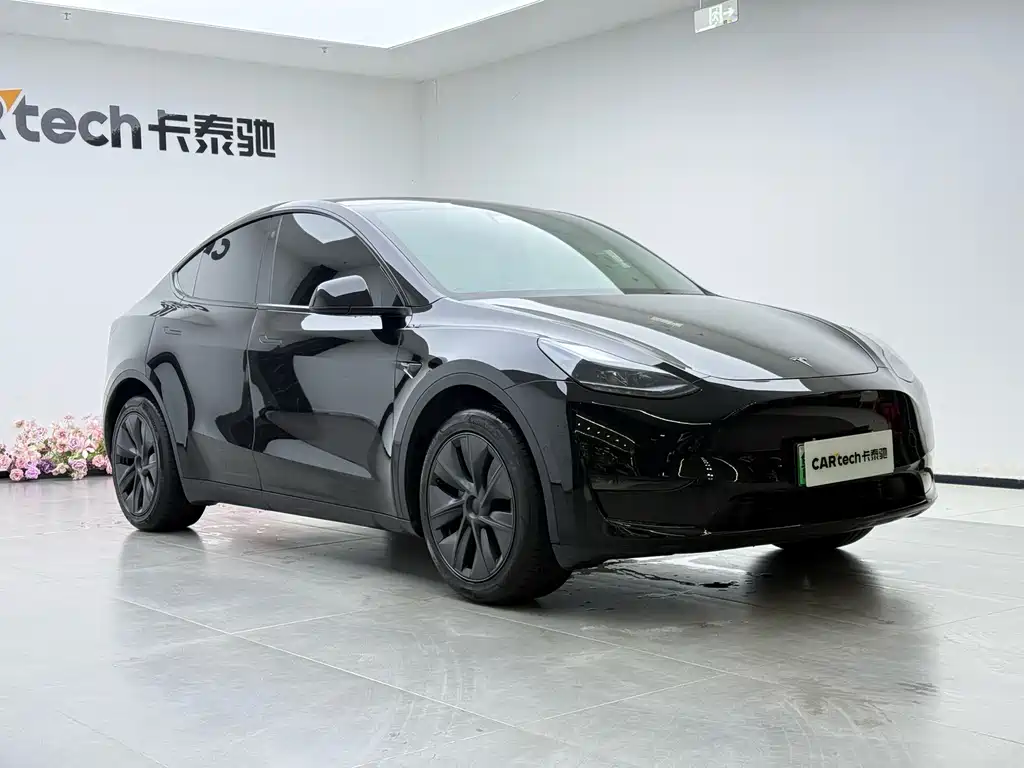 Tesla Model Y — миниатюра 12