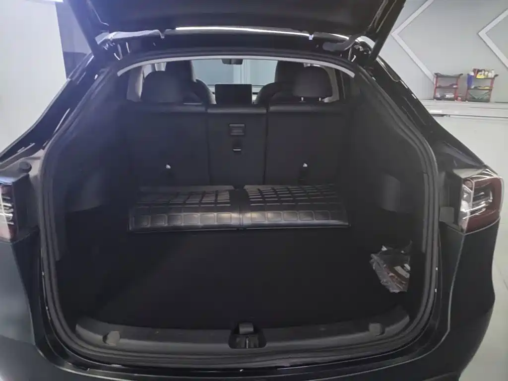 Tesla Model Y — миниатюра 19