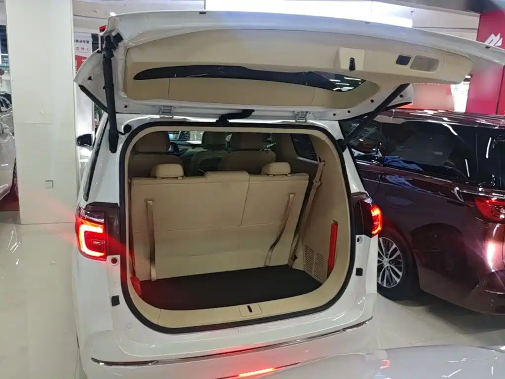 Buick GL8 — миниатюра 19