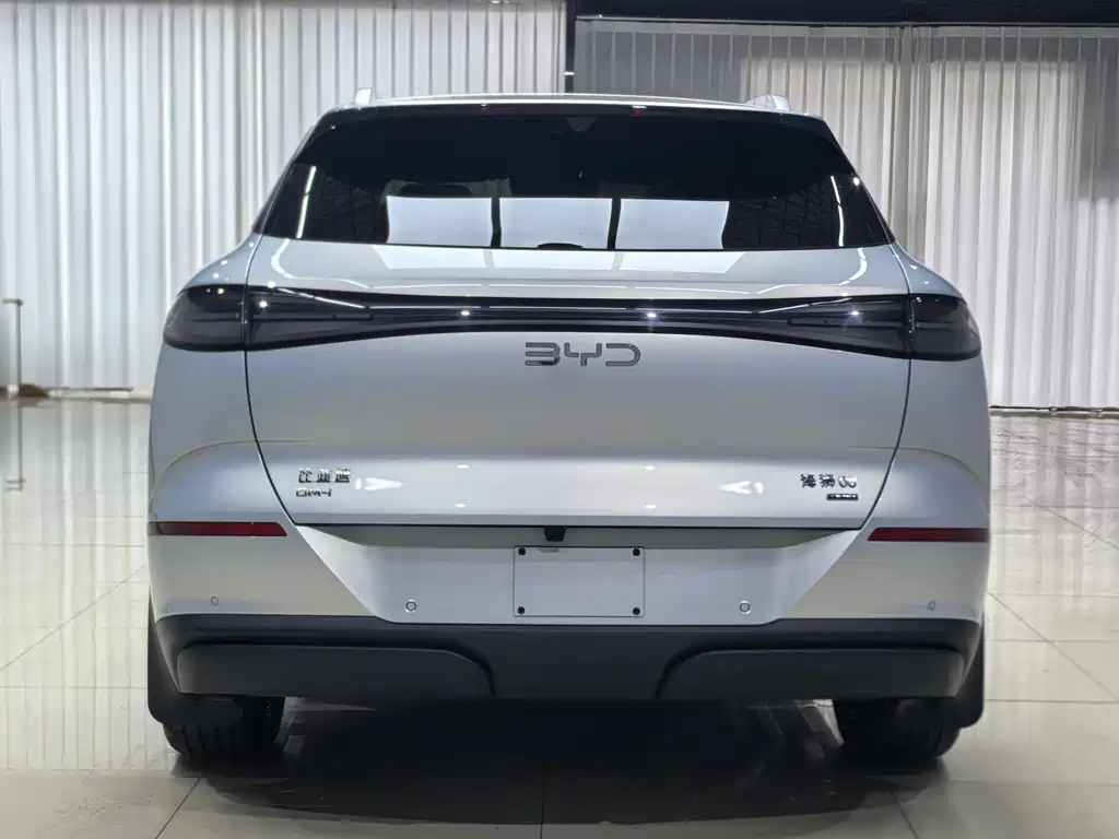 BYD Haisi 06 — миниатюра 7