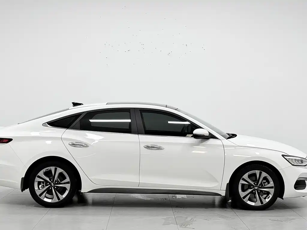 Hyundai Fista — миниатюра 4