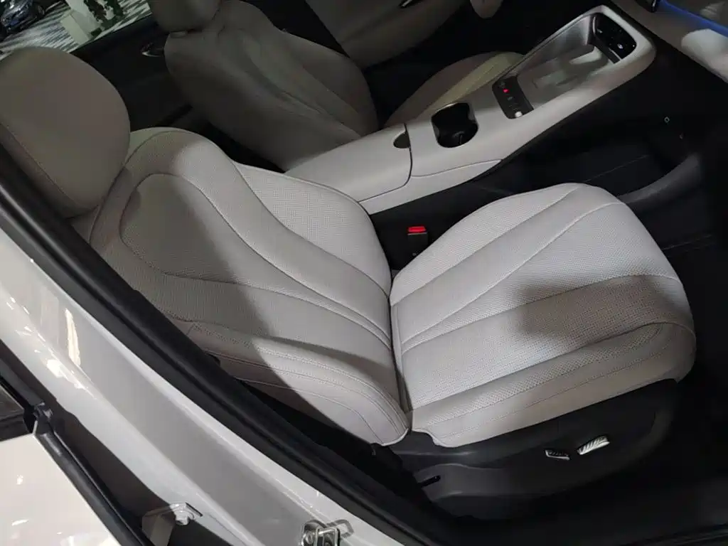 BYD Sealion 06 — миниатюра 25