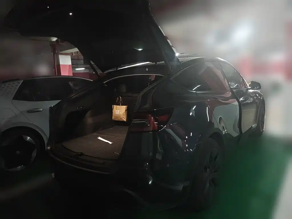 Tesla Model Y — миниатюра 15