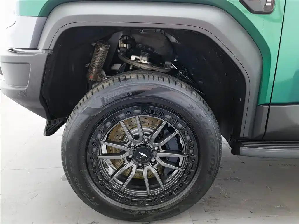 FANG CHENG BAO LEOPARD 5