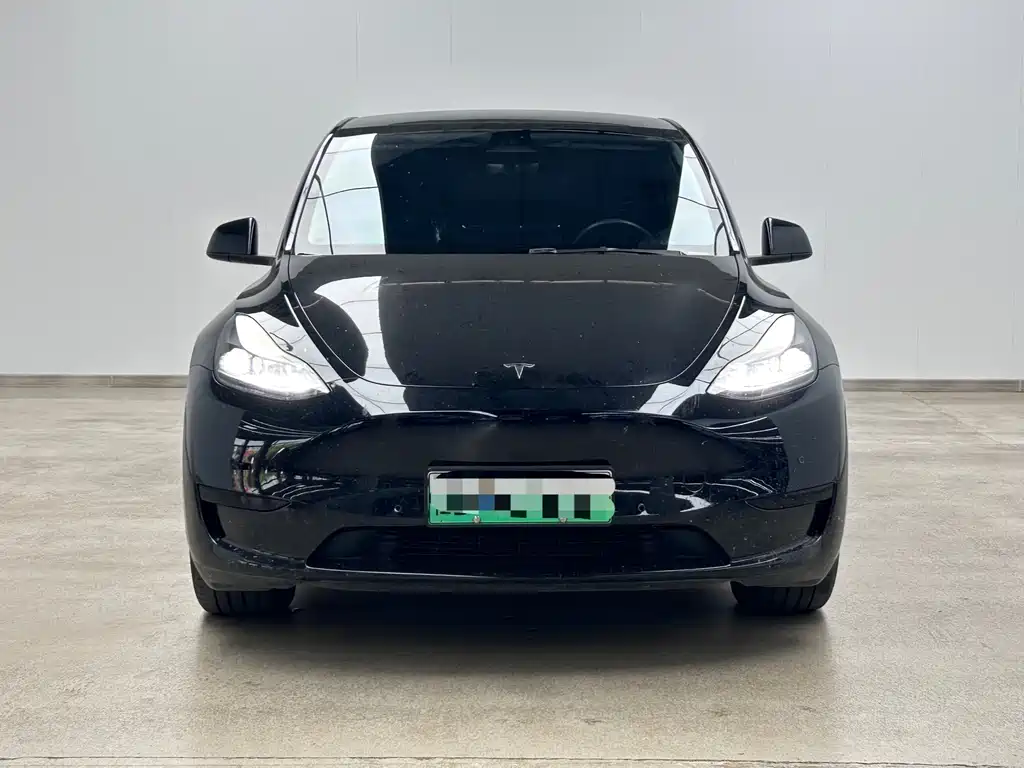 Tesla Model Y — миниатюра 2