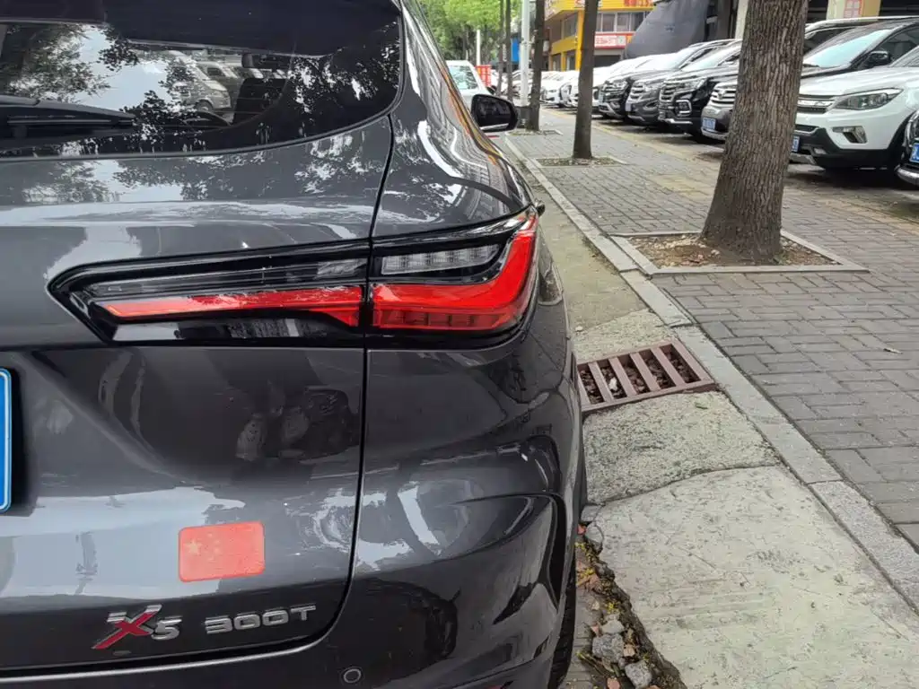 Oshan Oushang X5 — миниатюра 8