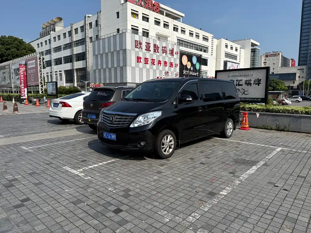 Купить Fengxing Lingzhi PLUS