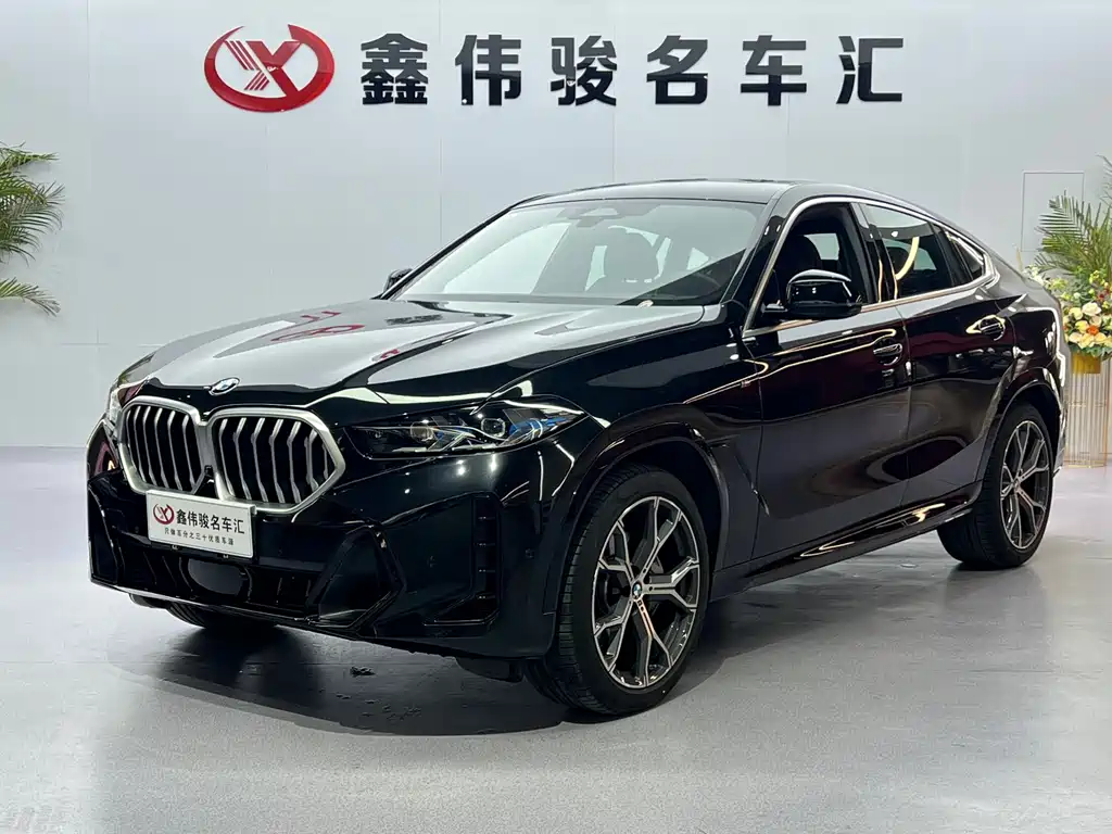 BMW X6 2023 xDrive40i M Sport