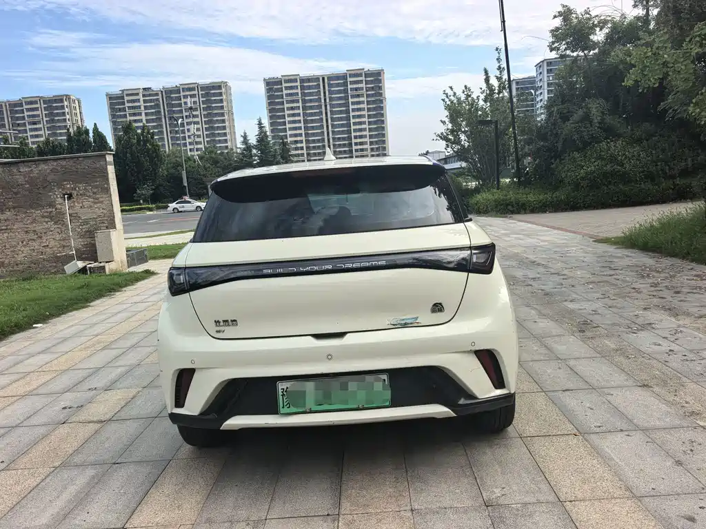 BYD Dolphin — миниатюра 15