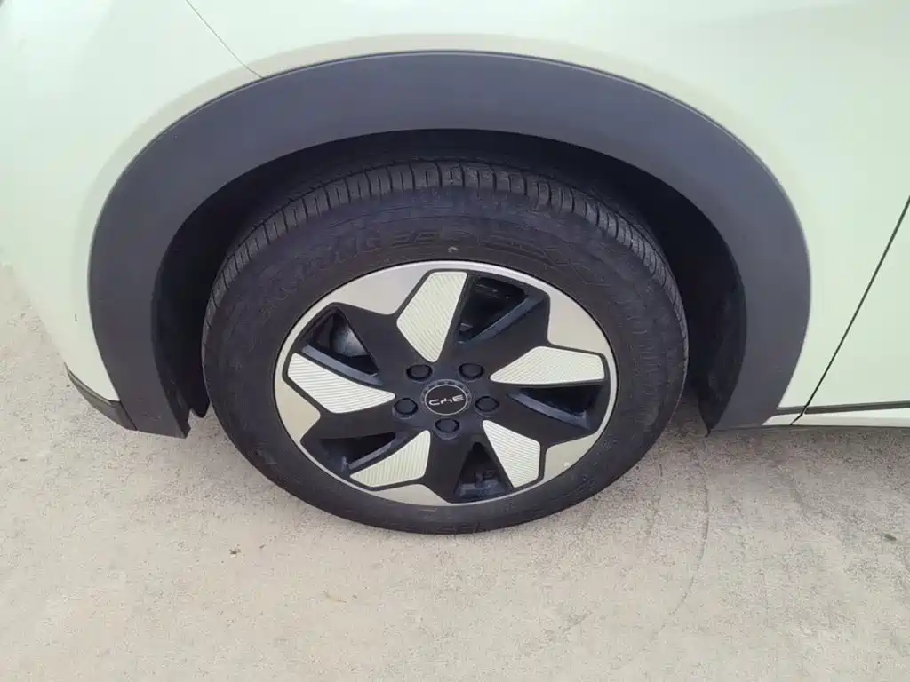 BYD Dolphin — миниатюра 23