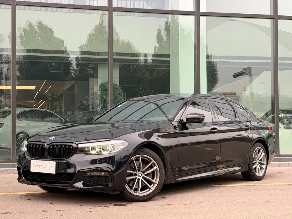 BMW 5 Series — миниатюра 2