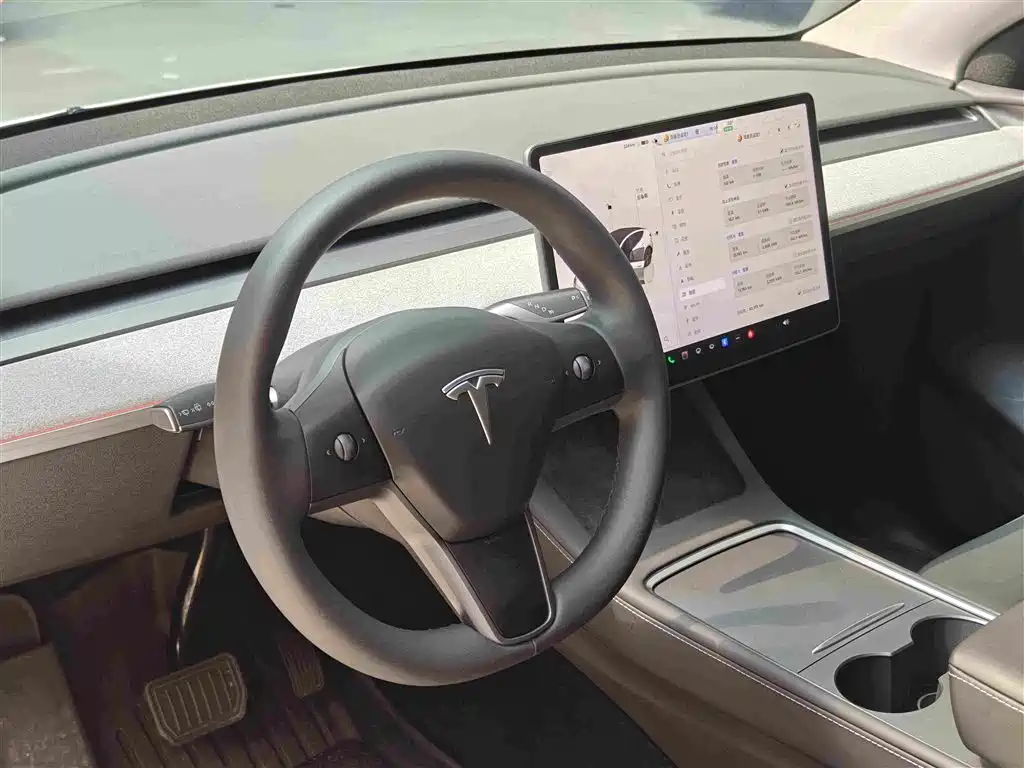 Tesla Model Y — миниатюра 10