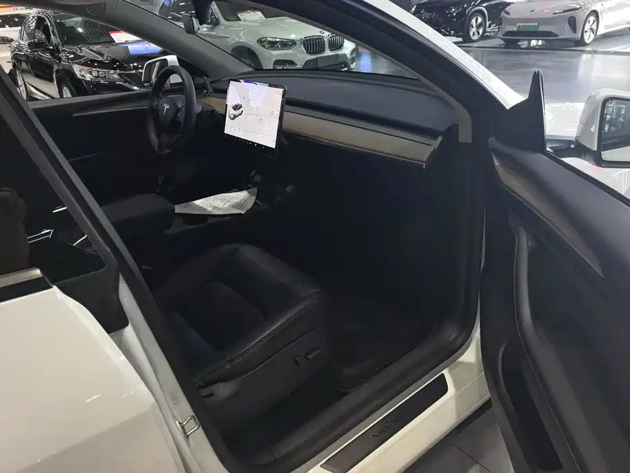 Tesla Model Y — миниатюра 8