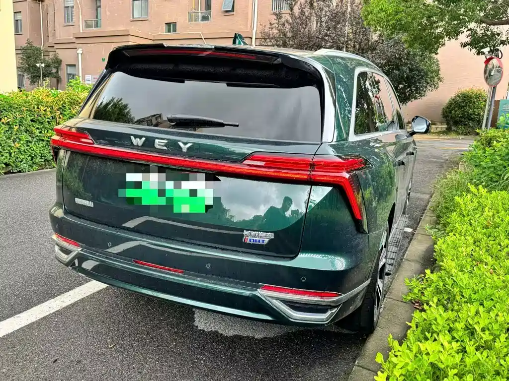 Wey Wey Lanshan — миниатюра 4