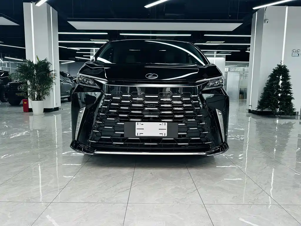 Lexus LM 2025 350h мест