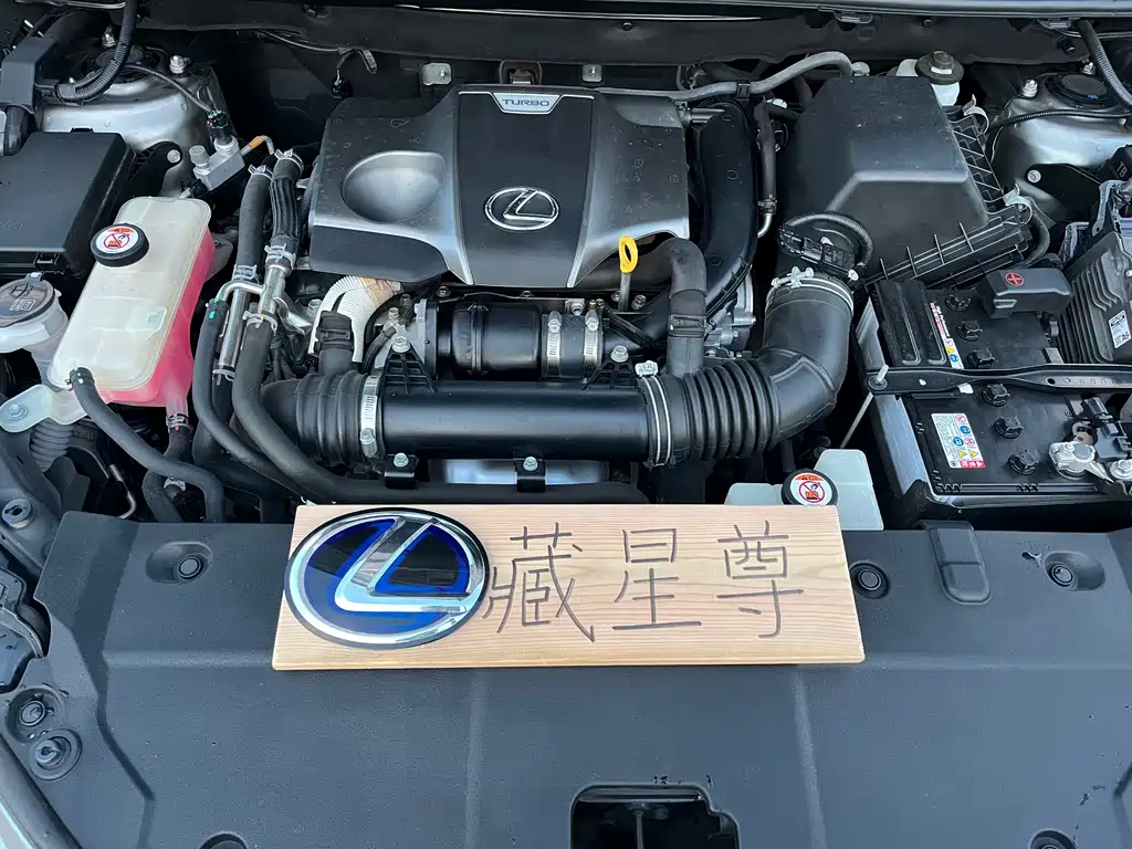 Lexus NX — миниатюра 11