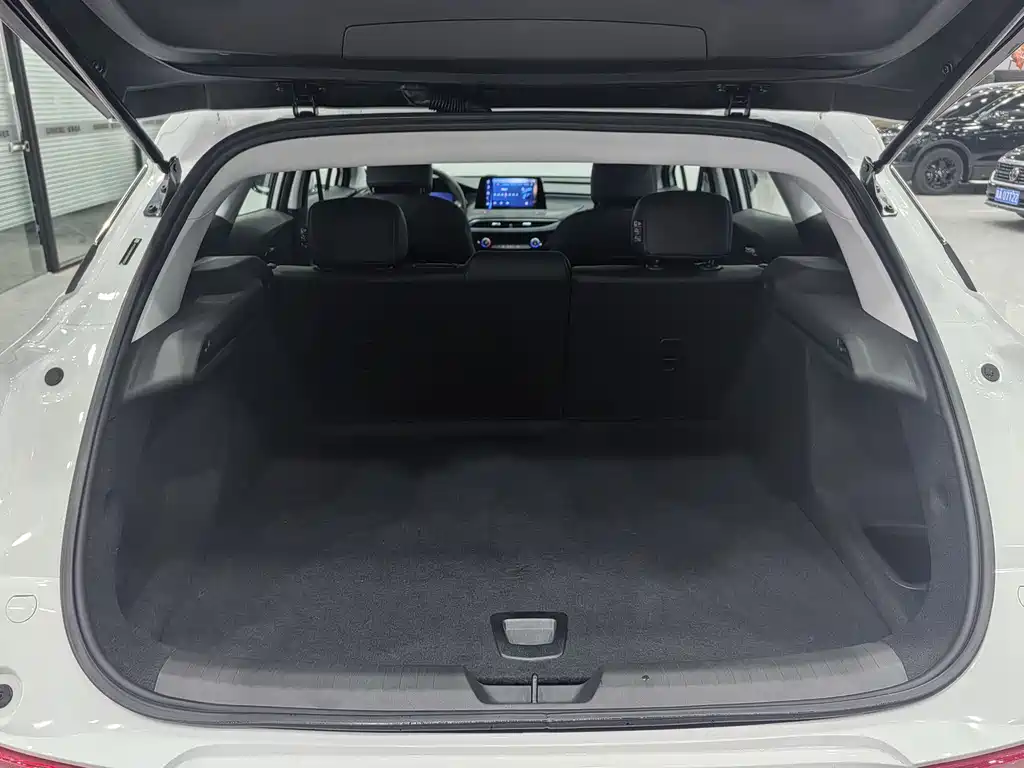 BUICK SLIGHTLY BLUE 6