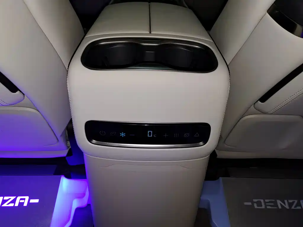 Denza Denza D9 — миниатюра 14