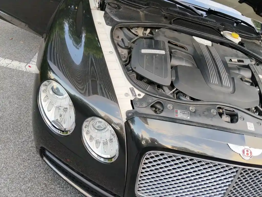Bentley Flying Spur — миниатюра 19