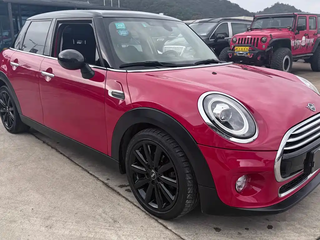 Mini Mini 2019
