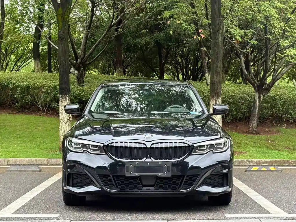 BMW 3 Series — миниатюра 2