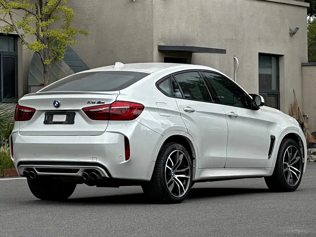 BMW X6 M X6 M, фото 4