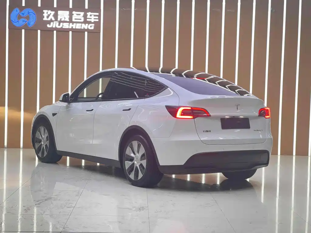 Tesla Model Y — миниатюра 10