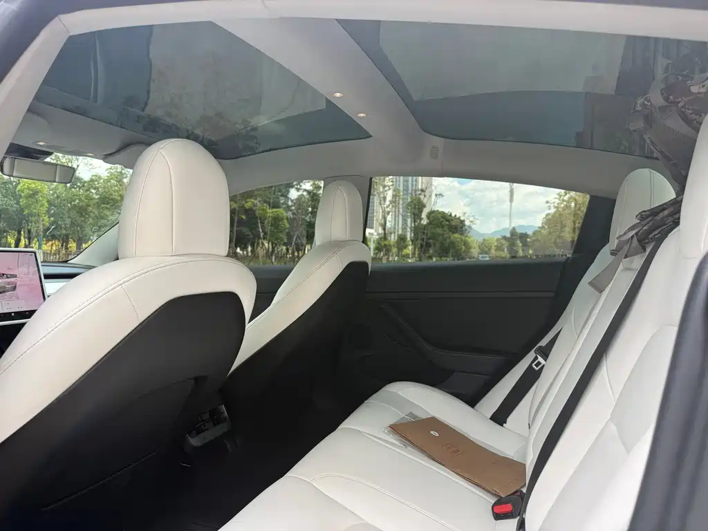 Tesla Model 3 — миниатюра 6