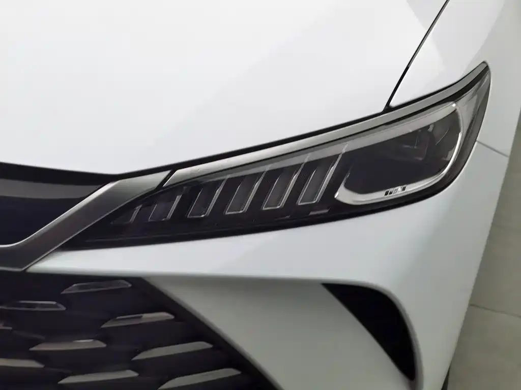 BYD Qin Plus PLUS 2025 DM-i Smart Drive 55KM Lead