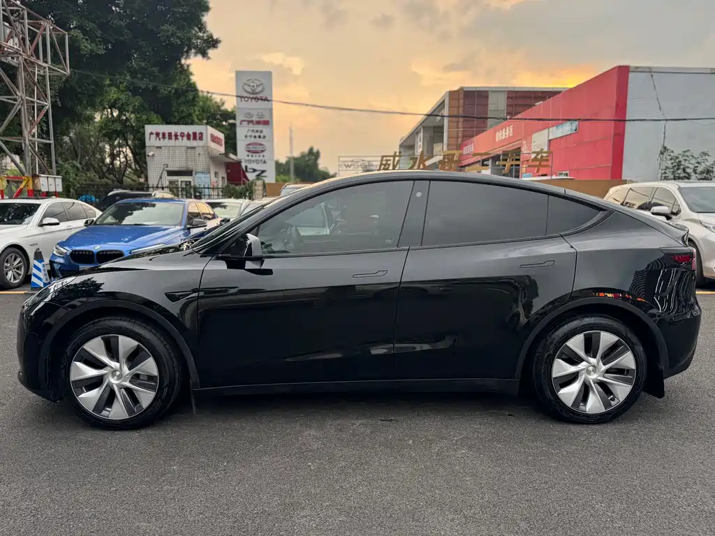 Tesla Model Y — миниатюра 4