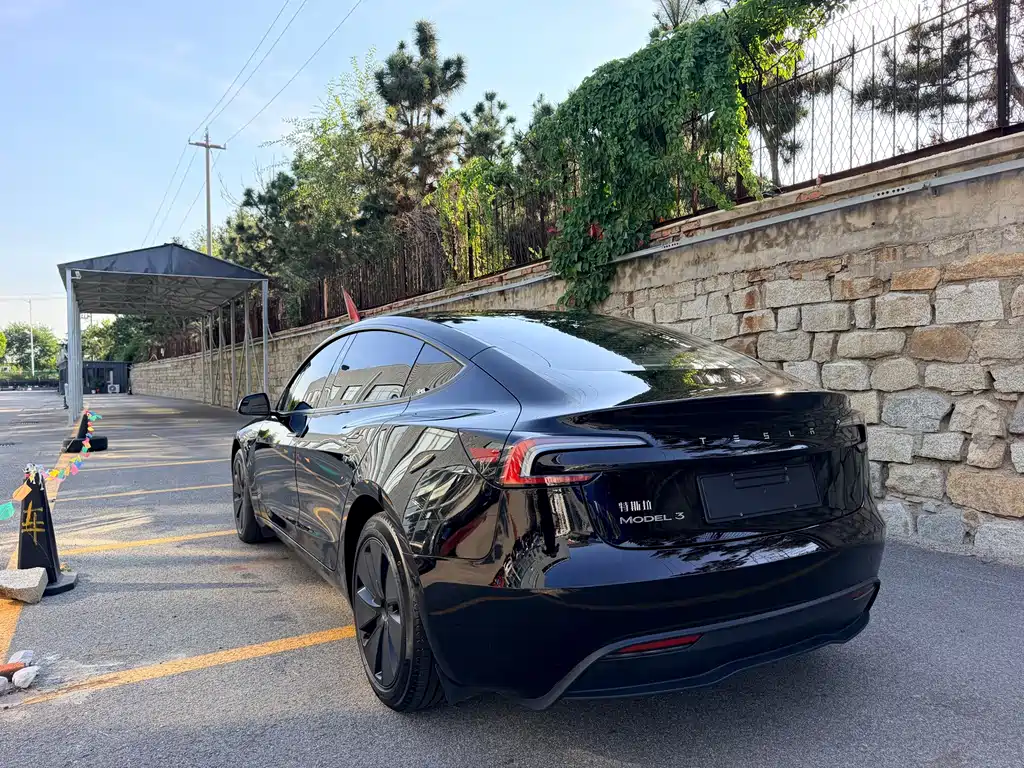 Tesla Model 3 — миниатюра 6