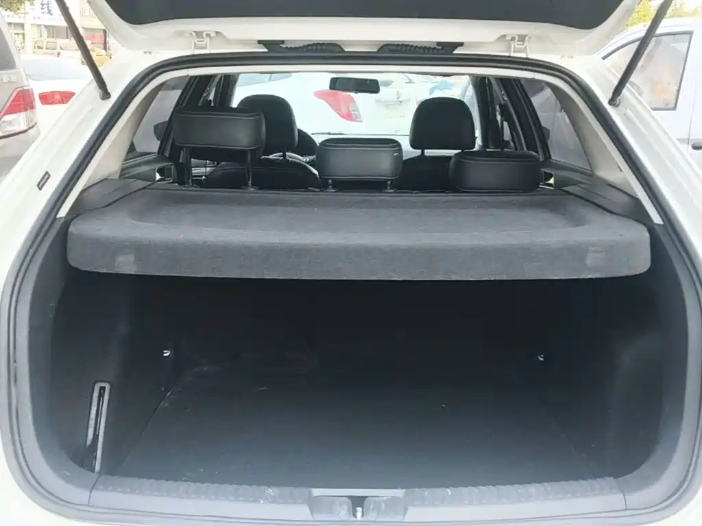 Volkswagen Gran Lavida — миниатюра 19