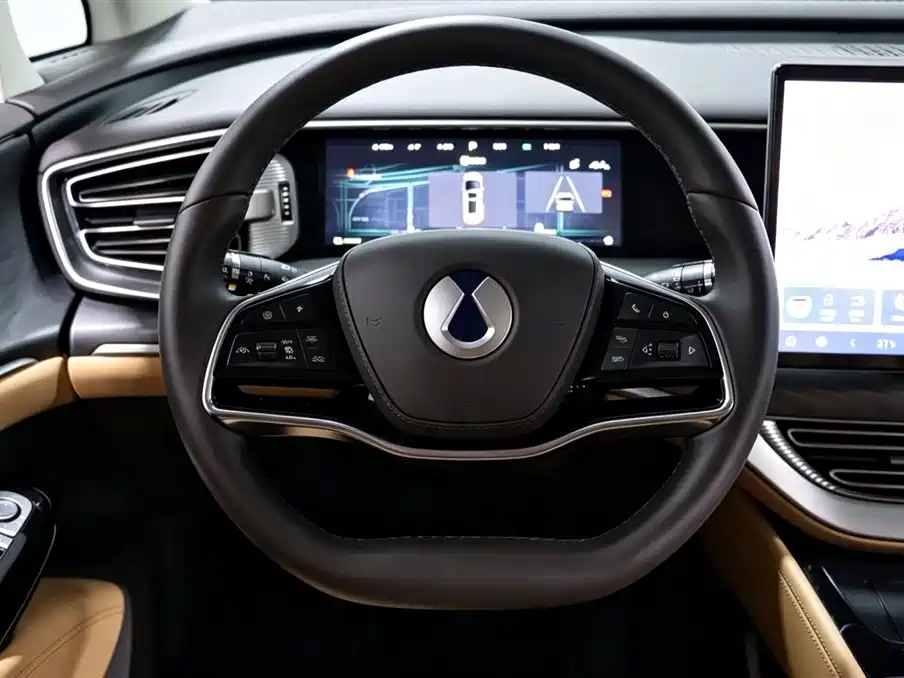 Denza Denza D9 — миниатюра 12
