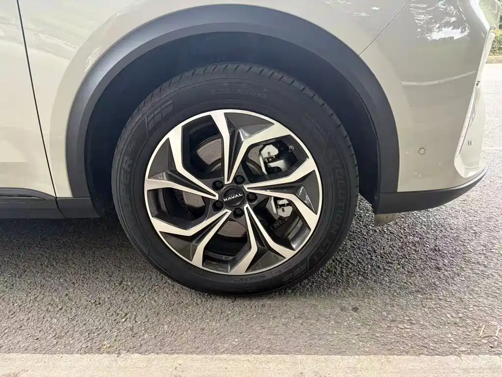 Haval Xiaolong MAX — миниатюра 6