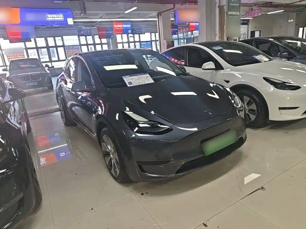 Tesla Model Y — миниатюра 4