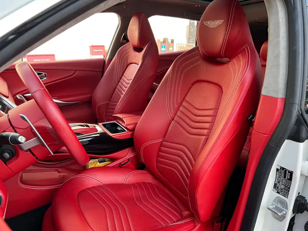 Aston Martin DBX — миниатюра 24