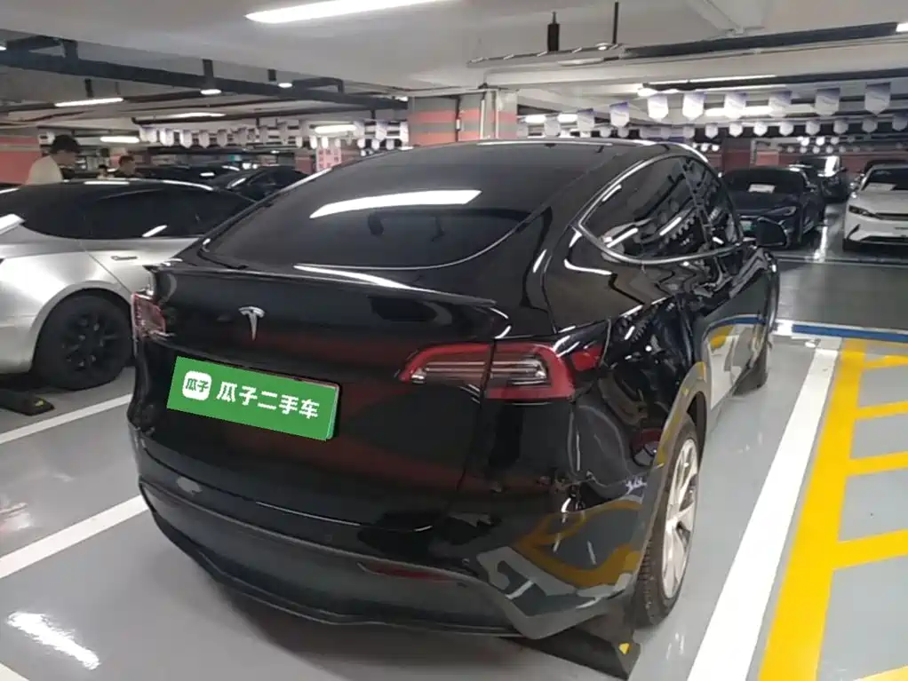 Tesla Model Y — миниатюра 7