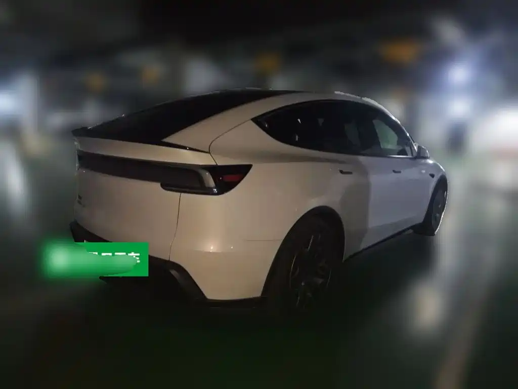 Tesla Model Y L — миниатюра 4