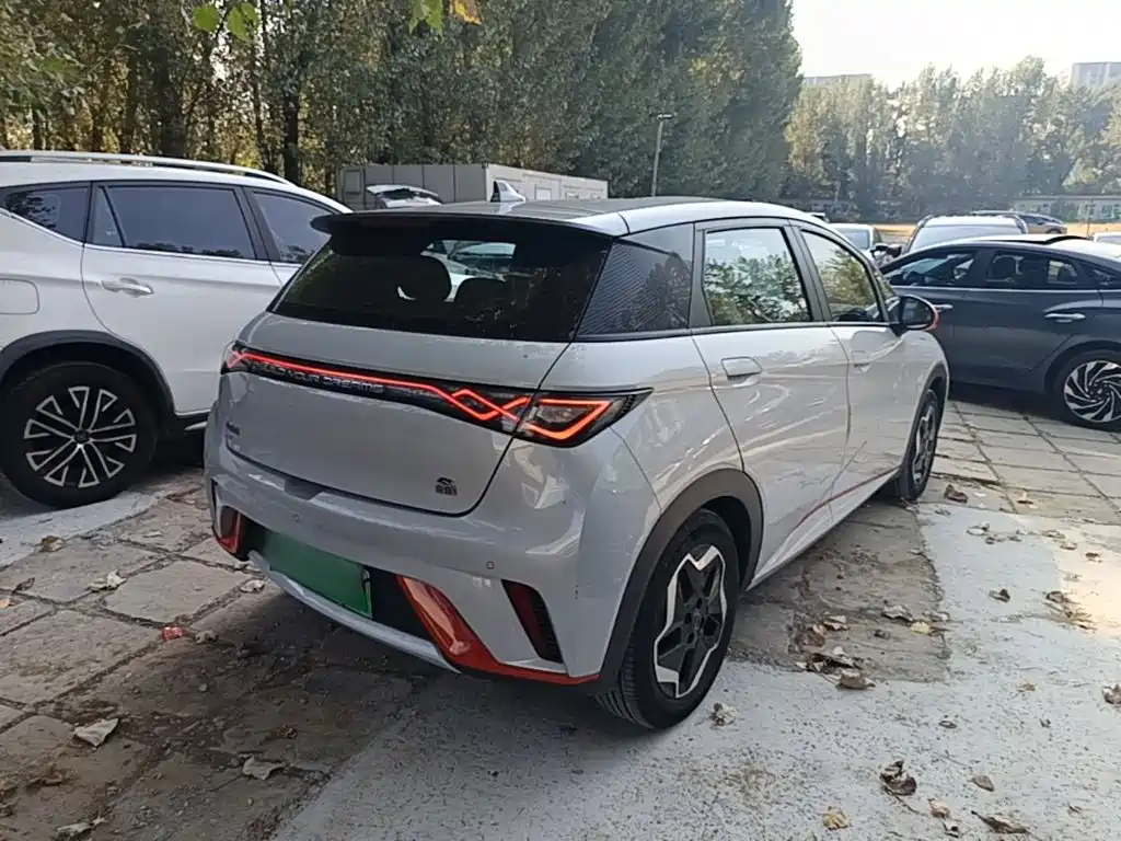 BYD Dolphin — миниатюра 7